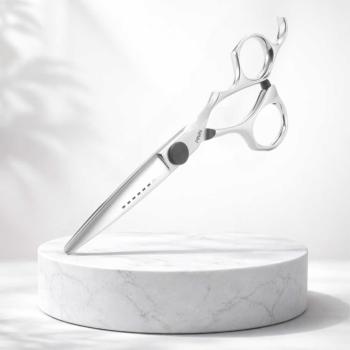 Preview: Pinin Q6 Torrey